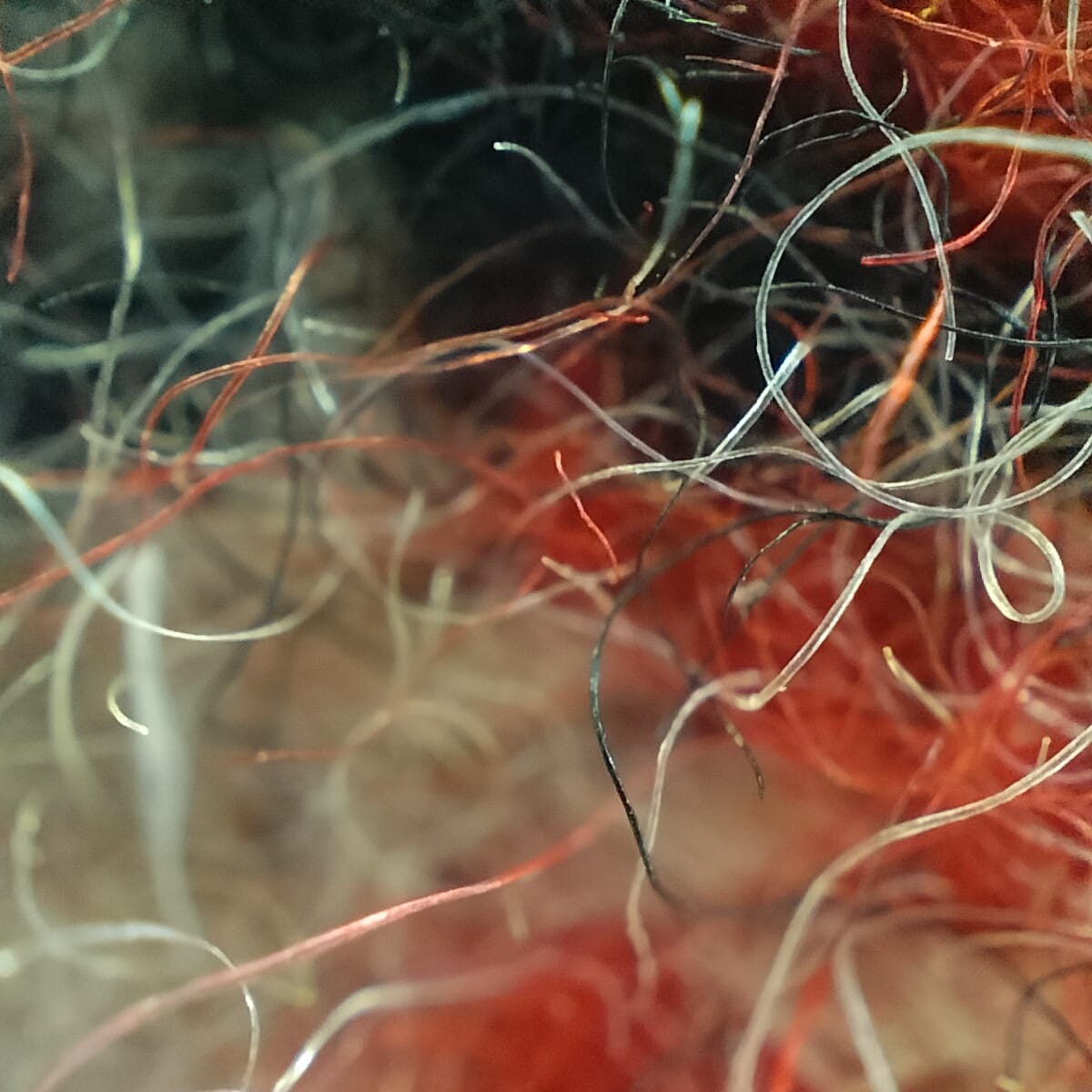 Brown check Wool Blended Muffler