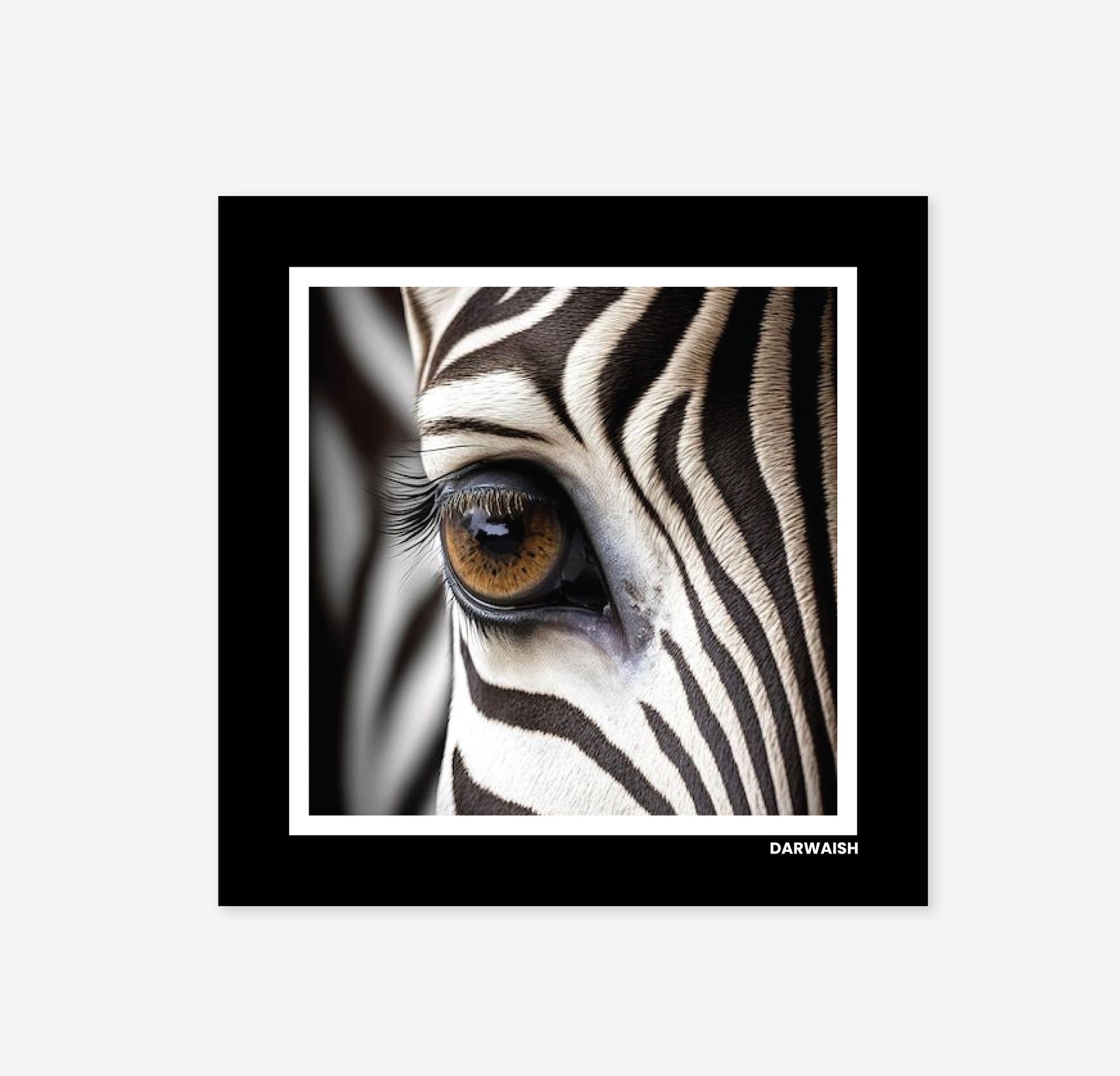 The Zebra Gaze- Silk Pocket Square for Men