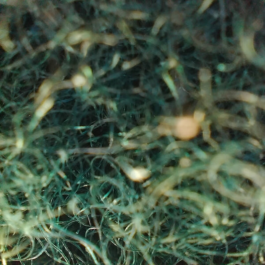 Plain Green Wool Blended Muffler