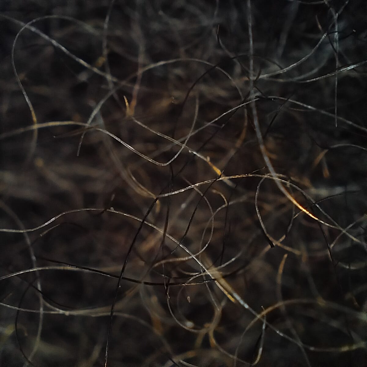 Plain Black Wool Blended Muffler